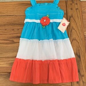 Sweet Heart Rose dress size 6X